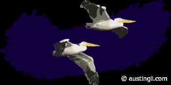 Make Beautifully Resilient Apps With Progressive Enhancement