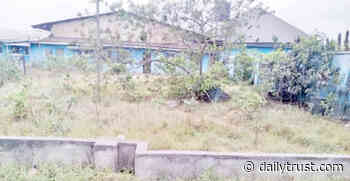 Outcry as Rivers' transport coy remains comatose - Daily Trust