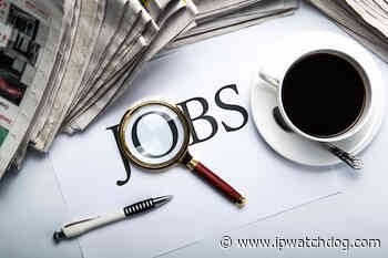 Aurora Consulting is Seeking a Patent Agent and Search Analyst (remote, US only) - IPWatchdog.com