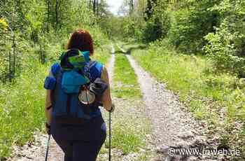 Bewusst in der Fülle der Natur - Fränkische Nachrichten
