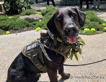 We DO Talk About Bruno - HS Today - HSToday