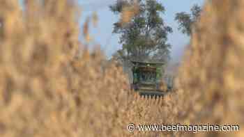 This Week in Agribusiness April 2, 2022