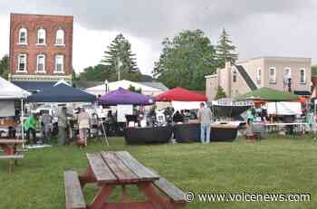 New Baltimore Farmers Market gets green light from council - New Baltimore Voice Newspapers