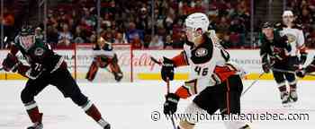 Quand Trevor Zegras va, tout va