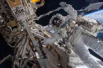 Space Station  Astronauts Relax after Busy March, Cosmonauts Get Used to Station Life