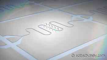 Tiny Magnets Could Hold the Secret to Miniaturizable Quantum Computers