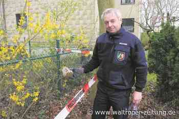 Marl: Minenfund: Was bei einer echten Fliegerbombe passiert wäre - Waltroper Zeitung