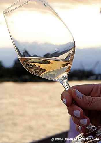 Die besten Grauburgunder werden gekürt - Breisach - Badische Zeitung