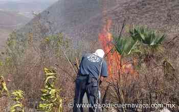 Incendios aumentan en Jiutepec por altas temperaturas - El Sol de Cuernavaca