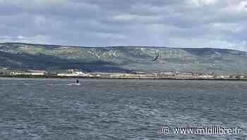 Frontignan : la tramontane, l'étang d'Ingril et le kitesurfeur courageux - Midi Libre