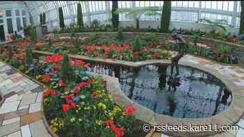 Spring Flower Show returns to Como Park