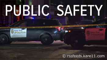 Key state Senate committee clears GOP public safety bill