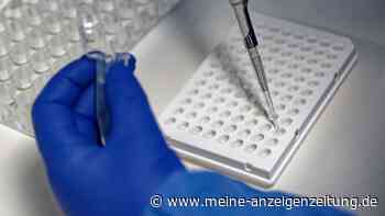 Warum sich BA.2 leichter überträgt als Omikron selbst