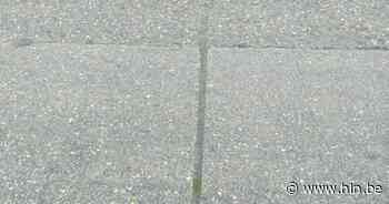 Zes straten krijgen nieuwe voegvullingen - Het Laatste Nieuws