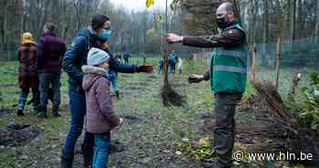 Bosgroep Zuiderkempen zoekt vrijwilligers - Het Laatste Nieuws