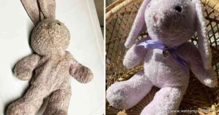 'Runaway Rabbit': Woman on a Mission to Return Lost Stuffed Bunny to Owner