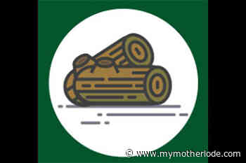 Get Your Chainsaws Ready For Forest Fuelwood - MyMotherLode.com