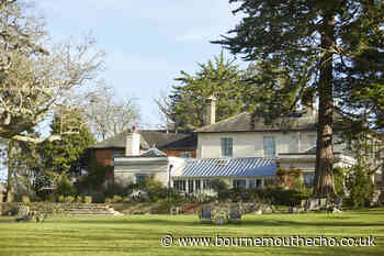 Pig group including New Forest hotel and Pig on the Beach is sold - Bournemouth Echo