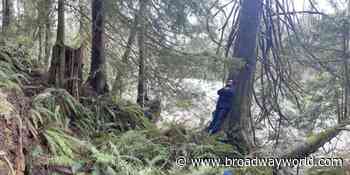 Southern Lord to Premiere Full-Length Record, Forest Nocturne - Broadway World