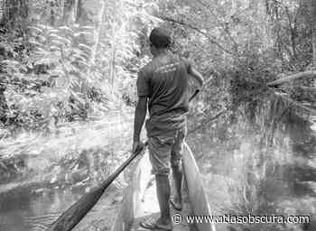 A Journey Into a Wondrous World Hidden Deep in the Congo Forest - Atlas Obscura