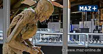 Rathenow: "Echte Körper - Von den Toten lernen" im Kulturzentrum - Märkische Allgemeine Zeitung