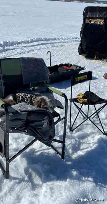 Your Saskatchewan photo of the day: April 2022