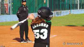 Softball, Coppa Prealpi: nel weekend le finali. Con Saronno e Caronno anche Italia U22, olandesi e ceche - ilSaronno