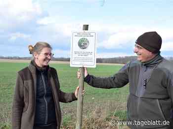 Anleinpflicht ab sofort: So können nicht nur Hundehalter die Natur schützen - Stade - Tageblatt-online