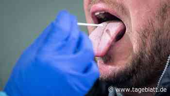 Virologe: Lockerungen ermöglichen Entwicklung von gefährlicheren Mutationen - Landkreis Stade - Tageblatt-online