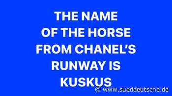 Influencer: Wieso ein georgischer Mode-Blogger keine Fotos postet - Süddeutsche Zeitung - SZ.de