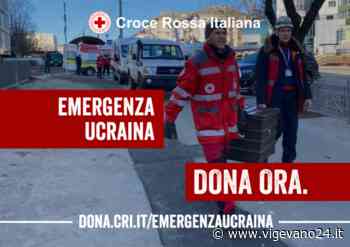 Vigevano: Red Buccella Run, la quarta edizione si conferma un concreto aiuto alla comunità - Vigevano24.it