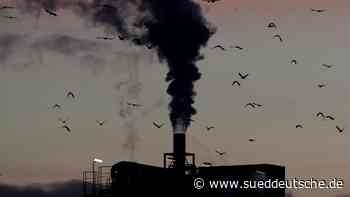 Gas aus Russland: Drohen hilft der Wirtschaft nicht - ein Kommentar - Süddeutsche Zeitung - SZ.de