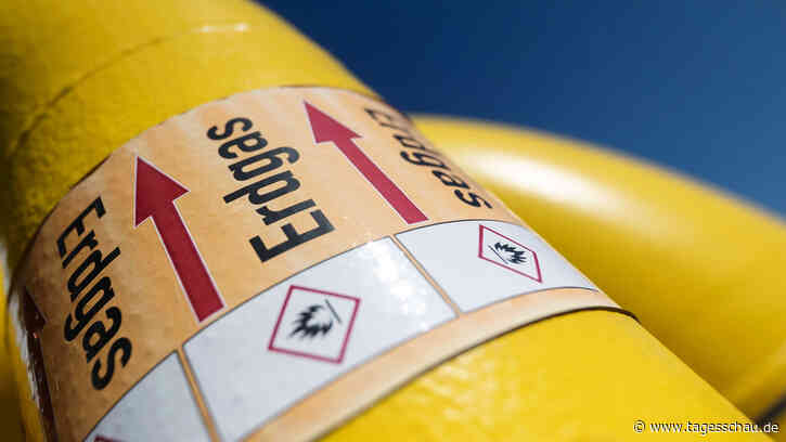 Gasstreit mit Russland: Wirtschaft warnt vor schwerer Krise | tagesschau.de - tagesschau.de