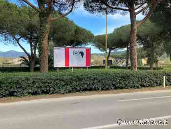 Arte IN-iTINERE, sulla provinciale per Procchio l’opera di Maria Serra - tenews.it