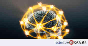 Physik: Erster „Quanten-Memristor“ vorgestellt - science.orf.at