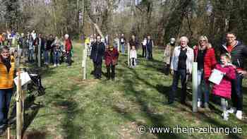 Neuen Festtagswald gepflanzt: Vallendarer spenden 23 Setzlinge - Koblenz & Region - Rhein-Zeitung