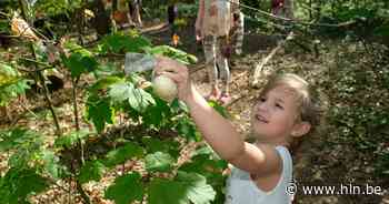 Paaseieren rapen in Rode Kruisopvangcentrum - Het Laatste Nieuws