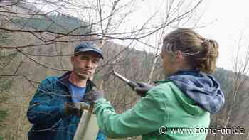 Projektwoche in Werdohl: Freiwillige schuften für den Erhalt des Waldes - come-on.de