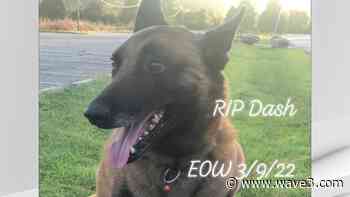 'Our community is hurt': Shepherdsville Police, citizens mourn K-9 Dash - WAVE 3