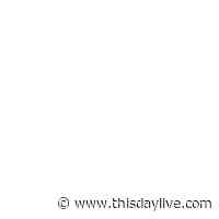 Nesto Aviation Poised for Growth Despite Industry Challenges - THISDAY Newspapers