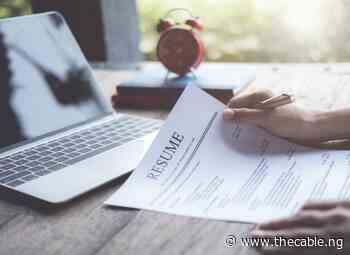 APPLY: New airline seeks aviation professionals to fill over 40 positions - TheCable