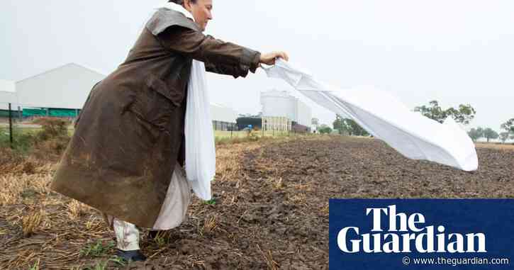 ‘Mud-dipped masterpiece’: a creative approach to carbon farming conversations