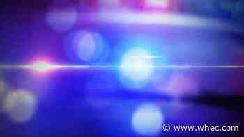 RPD: foot chase results in K9 biting