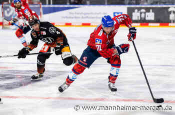 Adler senden Botschaft an sich und ihre Fans - Sportvereine in der Region - Mannheimer Morgen