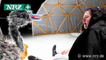 Moers: Die Penguin’s Days senden Botschaften für jedes Alter - NRZ News
