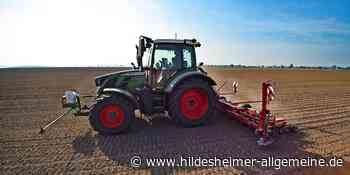 Trockener März im Kreis Hildesheim: Das sagen Klima-Experten und Landwirte - www.hildesheimer-allgemeine.de