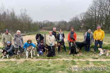Voorstel om hondenweide uit te breiden niet zo simpel - De Standaard