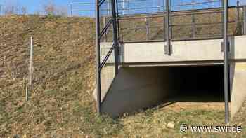 Tunnel für Fledermäuse an der Neubaustrecke von Wendlingen nach Ulm - SWR Aktuell