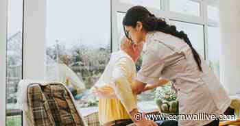 Ten jobs in Cornwall that don't require any experience - Cornwall Live