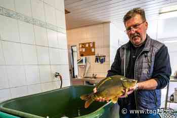 Mittweida: Der erste Fischer aus Sachsen macht Schluss: "Es hat keinen Zweck mehr" - TAG24